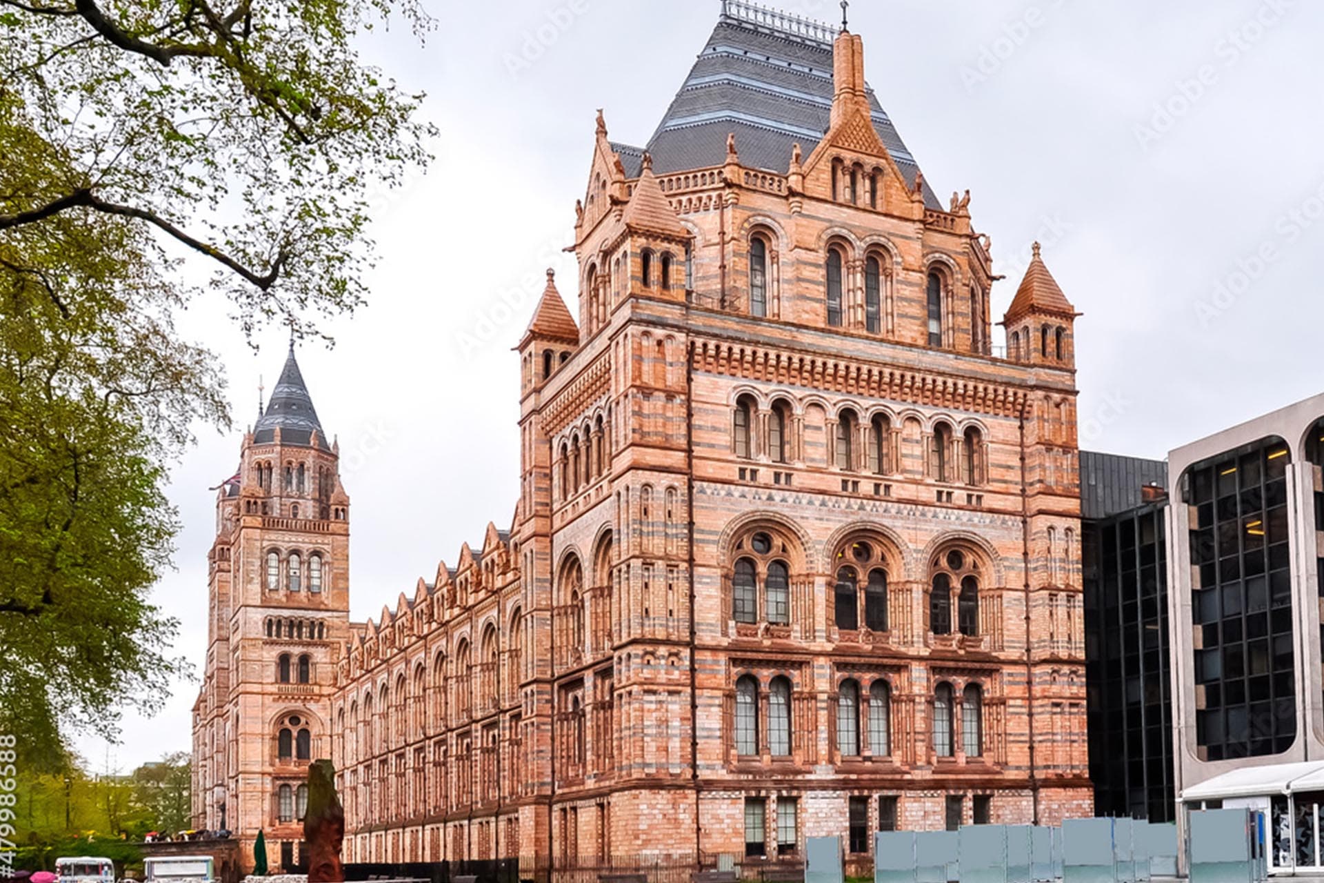 Key services include: