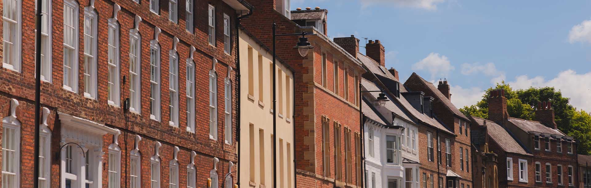 Back to Our Services